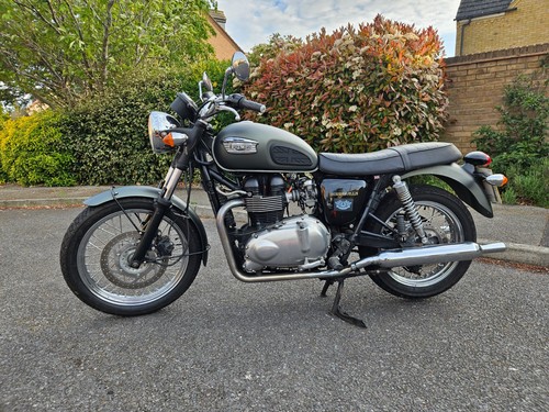Triumph bonneville t100 - triumph,