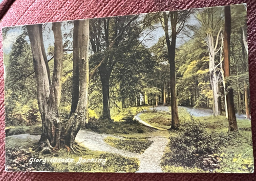 Vintage postcard dorking - vintage,