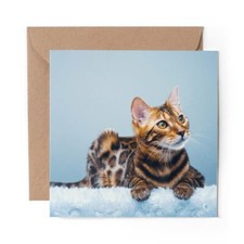 1 x Blank Greeting Card Cute