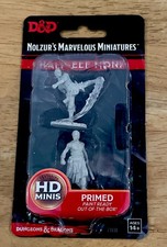 Half-Elf Monk Wizkids D&D