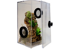 Jumping Spider Enclosure Complete With Decor