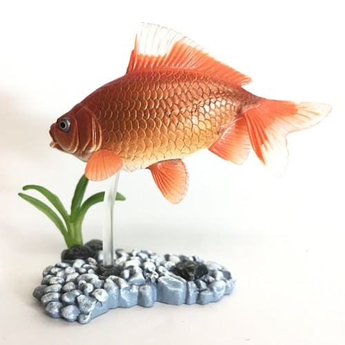 Yujin aquarium fish - aquarium, goldfish