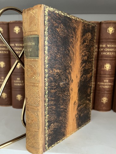 1882 luxury rebound faust - faust, a