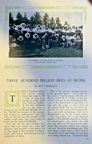 1908 honey bees apiary - 1908, at