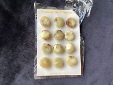 Vintage Genuine Horn Buttons