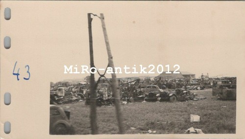 Photo soldiers with dog - x,