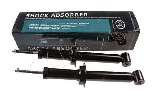 Oil shock absorber rear - absorber, x2