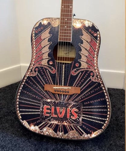 Elvis wrapped epiphone - elvis,