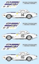 Decals Jaguar E Type Lightweight Le Mans 1963 1:32 1:24 1:43 1:18 slot decals