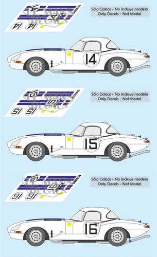 Decals jaguar type - jaguar,