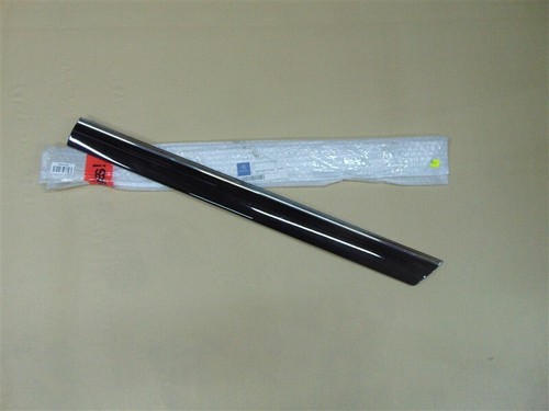 Brand new rear left door - rear,