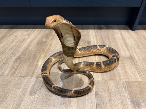 Cobra snake hand - (,