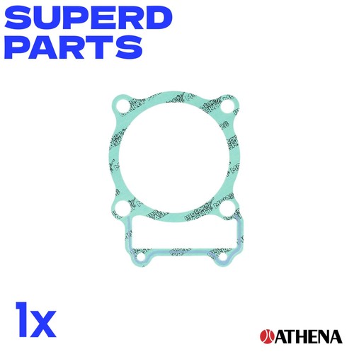 Cylinder base gasket - cylinder,
