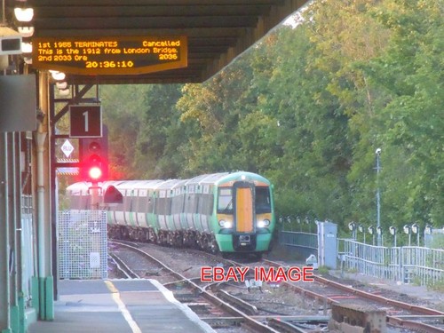 Photo southern emu 377166 at - ,