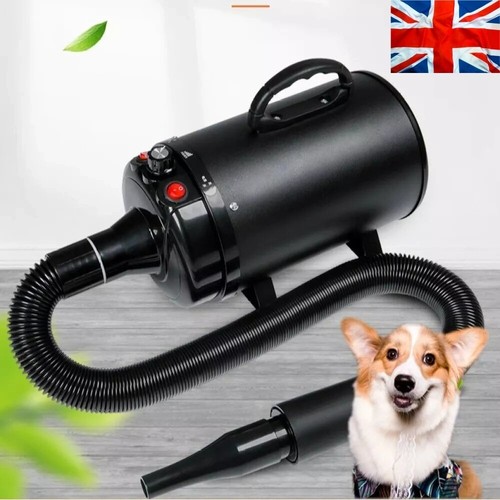 Professional pet hair dryer - pet,