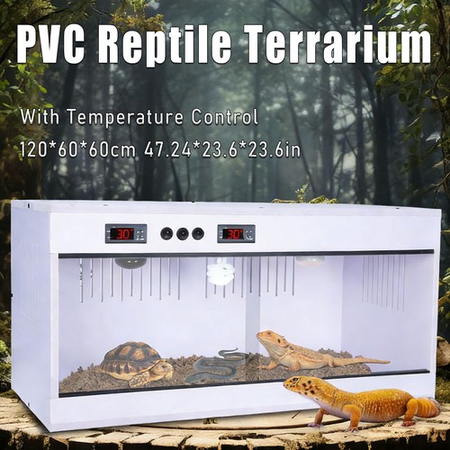 Reptile terrariums snake - reptile,