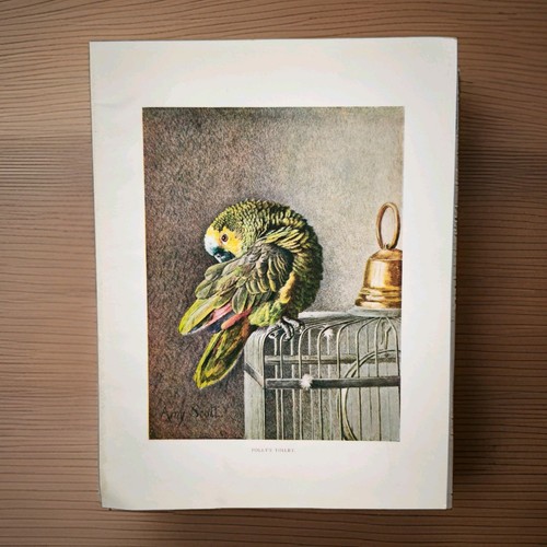 Antique 1920s pet amazon - 1920s,