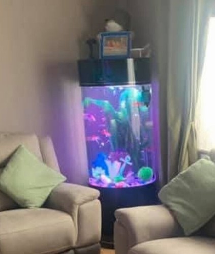 Fish tank used - tank,