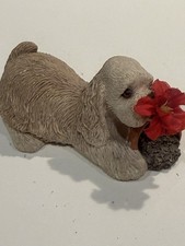 sandra brue sandicast dog