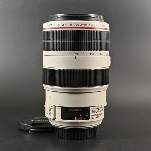 Canon 300mm 5 6l - ef, 70-300mm