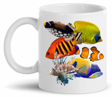 MARINE FISH Tropical Exotic