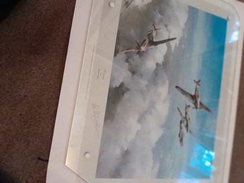 Sir douglas bader johnnie - sir,