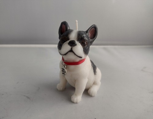 Black and white french bulldog - black,