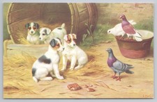 J Salmon Watercolour Postcard, Jack Russell Terrier Puppies & Pigeons, E Hunt
