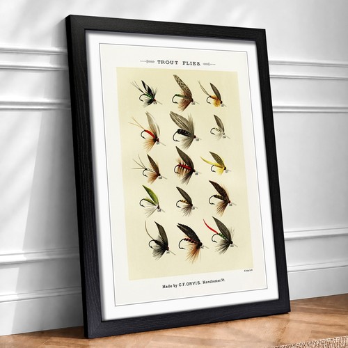 Trout fishing flies version - trout,