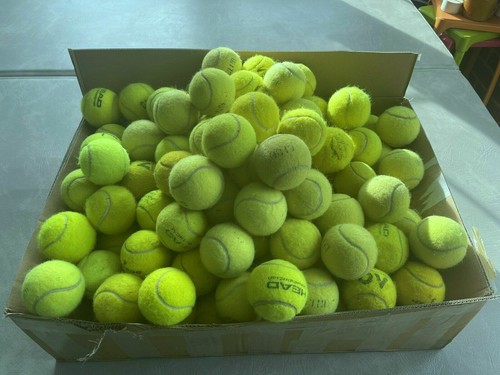 Tennis balls for dogs - tennis, used