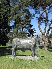 Photo A1 The bull at Builth Builth Wells/Llanfair-Ym-Muallt  c2013