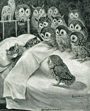 Cat Nightmare of Owls by Louis