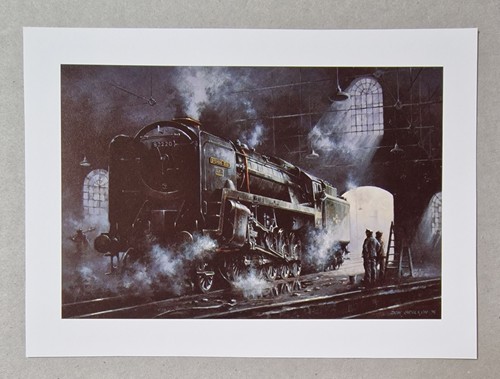 Breckon evening star shed - evening,
