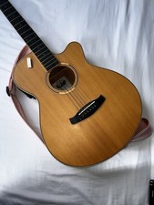 Tanglewood Discovery