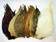 COCK CAPES IN NATURAL COLOURS,FLY TYING,ARTS & CRAFT A GRADES