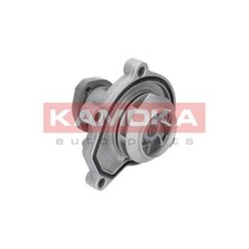 WATER PUMP KAMOKA T0252 FOR