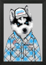 husky puppy in shirt Framed