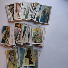 Job Lot loads of Vintage