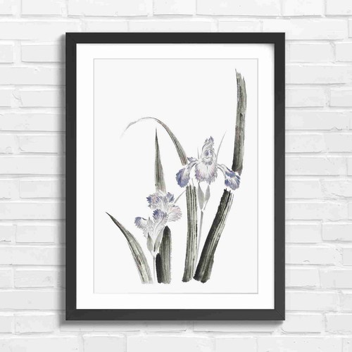 Elegant blue iris art original - elegant,