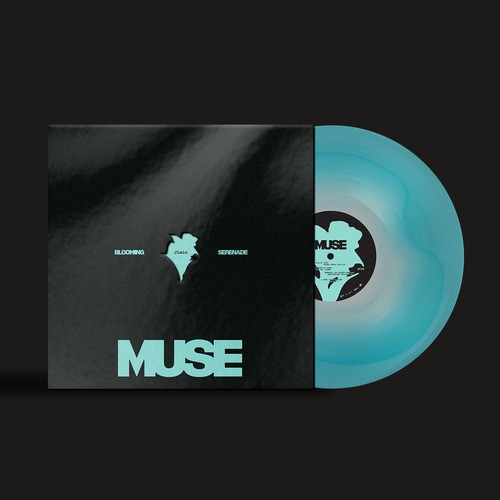 Jimin muse vinyl - muse,
