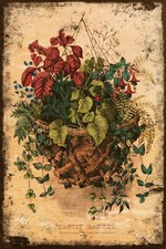 Vintage Hanging Basket Floral