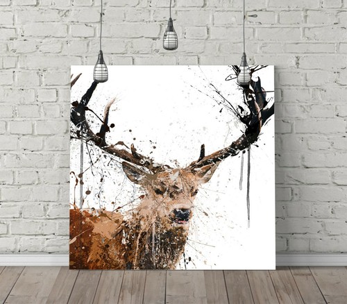 Stag splash art - stag, square