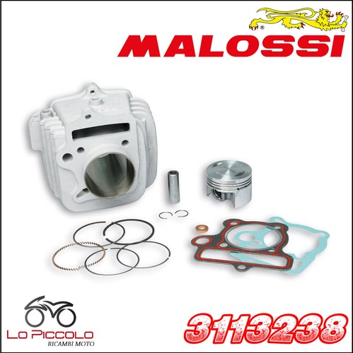 3113238 malossi thermal group - thermal,