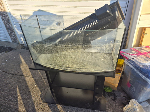 Bowfront glass aquarium tank - bowfront,