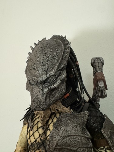Hot toys wolf predator avp - hot,