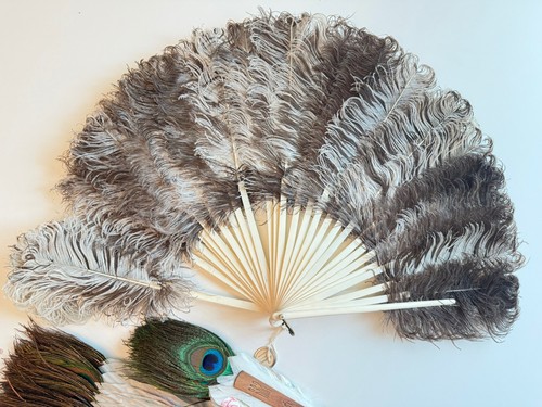 Victorian hand fan ostrich - hand,