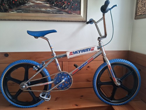 1983 skyway survivor - skyway,