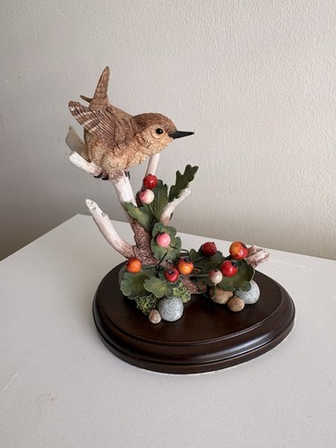 Wren with hawthorn berries - wren,