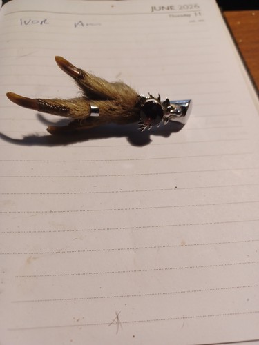 Grouse foot brooch antique - -,