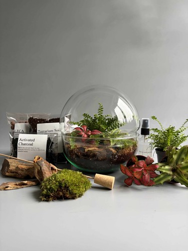 Glass bowl terrarium kit - terrarium, h